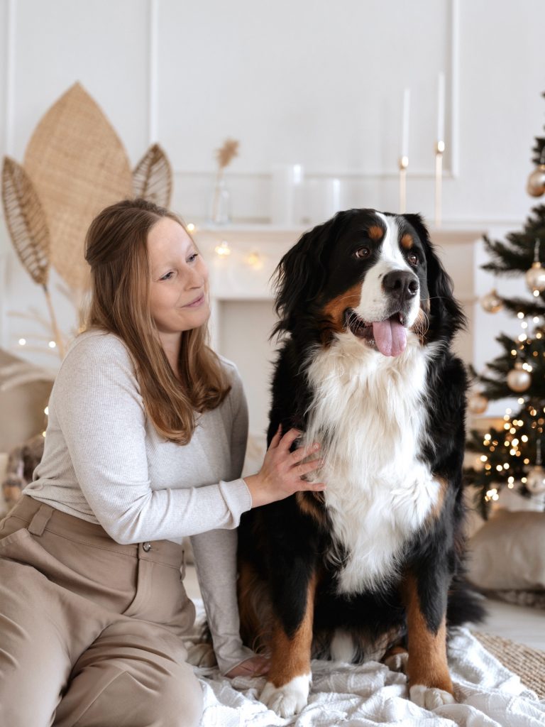 Alina Erntner Shooting für Tiere und Paare