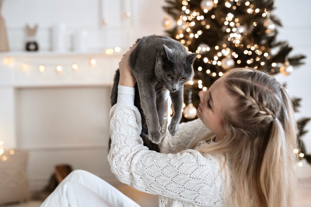 Foto Studio in Bünde mit Katze